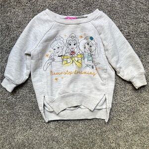5/$15 Disney Gray Princess Sweatshirt